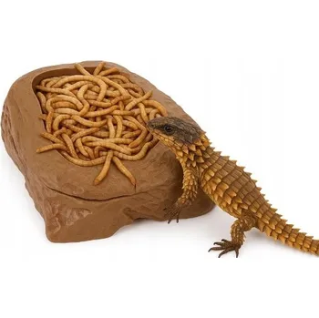 Teraristika MISKA NA LARVY PRO JEŠTĚRKY, ŽELVY, OBOJŽIVELNÍKY A HLEMÝŽDĚ DO TERÁRIA 12,5 CM