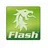 Flash