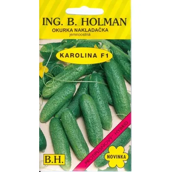 Semeno ing.Holman Okurka nakladačka Holman jemnoostná Karolina F1 2,5g