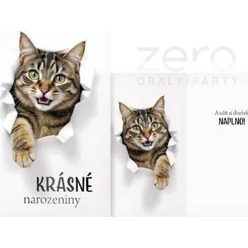 Přání s textem narozeninové + obálka - kočka