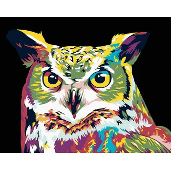 Dětské zboží Diamantové malování Diamondi - BAREVNÁ SOVA, 40x50 cm, vypnuté plátno na rám