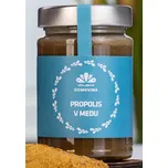 Včelařství Domovina Propolis v medu