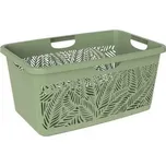 DEA HOME Koš na čisté prádlo JUNGLE 47 L - zelená