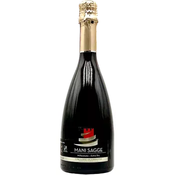 Prosecco Superiore DOCG Millesimato Extra Dry 2023, Mani Sagge
