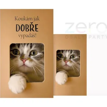 Přání bez textu narozeninové + obálka - kočka