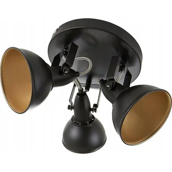 Stropní bodové svítidlo kulatý Briloner černé