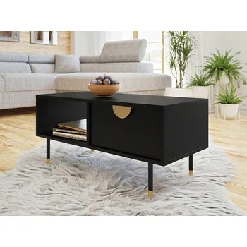 Konferenční stolek Konferenční stolek Mirjan obdélníkový 100 x 45 x 48 cm černý