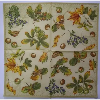 Papírový ubrousek Ubrousek pro decoupage - B69