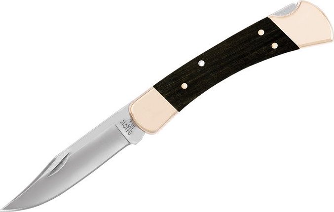 Buck Knives Nůž Buck 110 Folding Hunter, 0110BRS-B