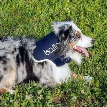 Ochranný límec pro zvířata Ortopedický límec pro psy a kočky Balto [velikost M]
