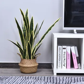 umělá květina Umělá rostlina - sanseverie | zelená/žlutá