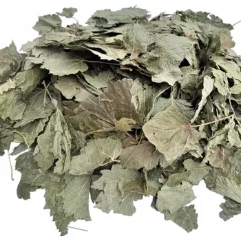Krmivo pro hlodavce ROYAL HERBS Listy rybízu 100 g