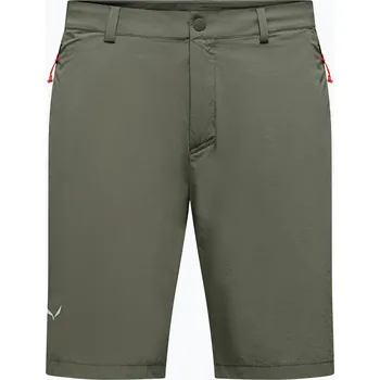 Oblečení a móda Pánské trekingové šortky Salewa Puez Talveno DST faded green