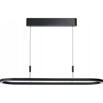 Stropní svítidlo v moderním stylu oválného tvaru do obývacího pokoje LAYLA LED