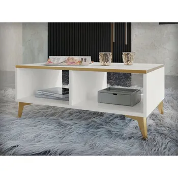 Konferenční stolek Konferenční stolek Mirjan24 obdélníkový 100 x 50 x 40 cm bílý, zlatý