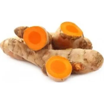 Koření Kurkuma mletá BIO 100 g VIA NATURAE