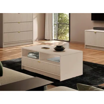 Konferenční stolek Konferenční stolek Mirjan obdélníkový 100 x 50 x 40 cm, béžové odstíny