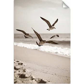 Obraz Samolepka na stěnu, Rackové ptáci moře pláž příroda 100x150