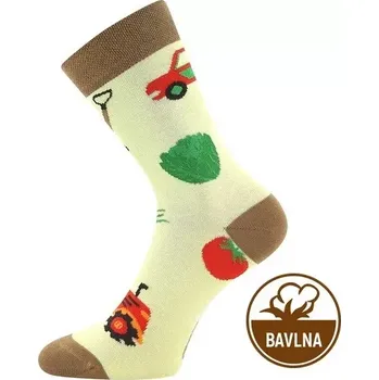 Dámské punčochy Chlapecké ponožky Kaito CH - 25-29 / světle zelená