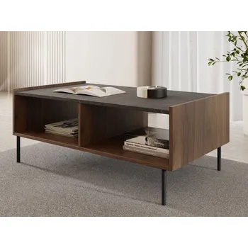 Konferenční stolek Konferenční stolek Mirjan24 obdélníkový 97 x 60 x 39 Cm vícebarevný