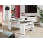 Konferenční stolek Mirjan čtvercový 110 x 60 x 50 cm bílý