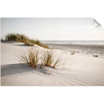 Obraz Samolepka na stěnu, Pláž moře duny příroda rostliny 150x100