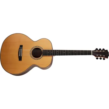 Akustická kytara Dowina Danubius GA + prodloužená záruka 3 roky