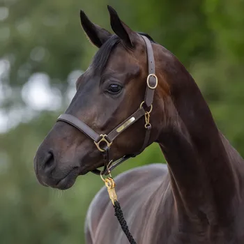 Sport KERBL Kožená ohlávka pro koně Cavalliero FS