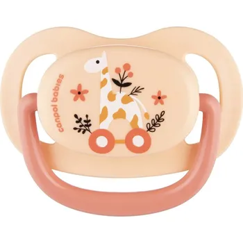dudlíky Anatomický silikonový Dudlík Canpol babies 6 měsíců +