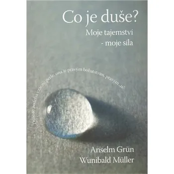 Co je duše ? - Anselm Grün, Wunibald Müller