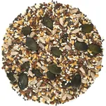 Nutsman Semínková směs 1 kg