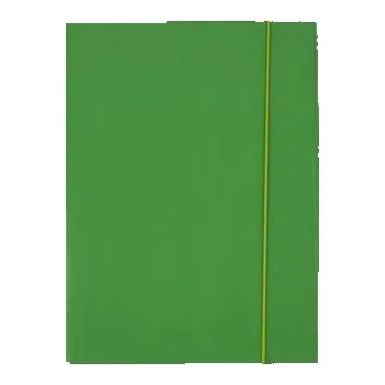 Set školních potřeb Teczka A4 kartonowa z gumką zielona 300g D.RECT