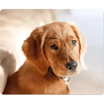 Podložka pod myš Vlastní fotografie