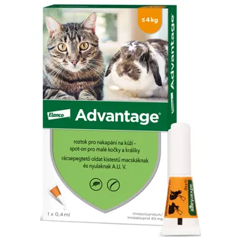 Antiparazitikum pro kočku Advantage 40 mg roztok pro nakapání na kůži – spot-on pro malé kočky a králíky 1 x 0.4 ml