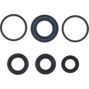 Centauro Gufera motoru sada Dio 50 94-04 666A156SR