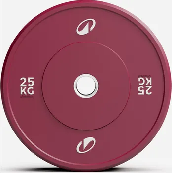 CORENGTH Kotouč na vzpírání a kruhový trénink 25 kg 1 ks 25kg