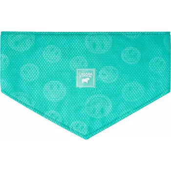 Obleček pro psa Canada Pooch chladicí šátek L zelený se smajlíky