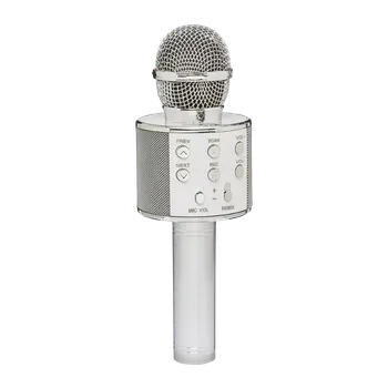 Karaoke IDEENWELT Karaoke mikrofon