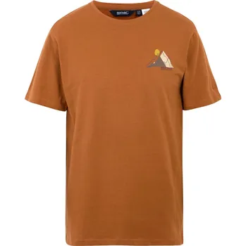 Pánské tričko Pánské tričko Regatta Cline IX Velikost: S / Barva: hnědá/šedá