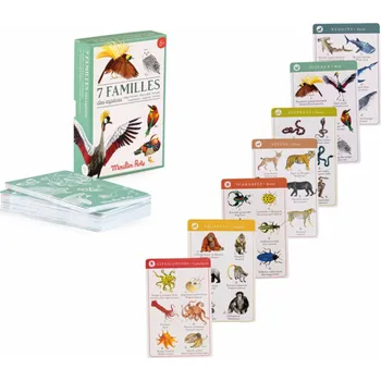 Kvarteto zvířata z celého světa