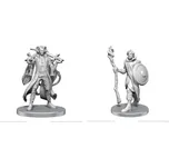 WizKids Critical Role Unpainted Miniatures: Mollymauk Tealeaf & Caduceus Clay