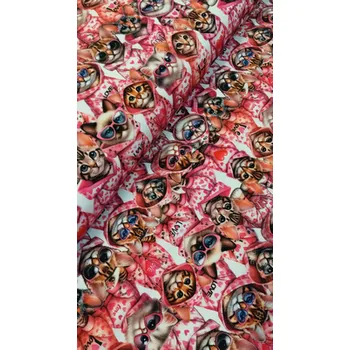 Galanterie Bavlněná teplákovina šíře 180cm - Kočky s kapucou (50cm)