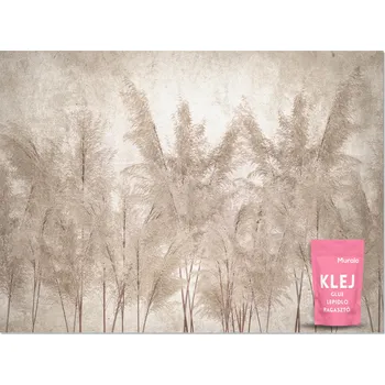 Fototapeta FOTOTAPETA BETON, LISTY, PAMPASOVÁ TRÁVA BOHO - TAPETA DO LOŽNICE, OBÝVÁKU 368x254 cm
