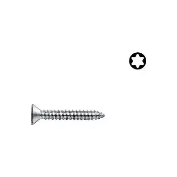 Vrut Šroub DIN 7982C ocel 4,2x19 ZB Torx