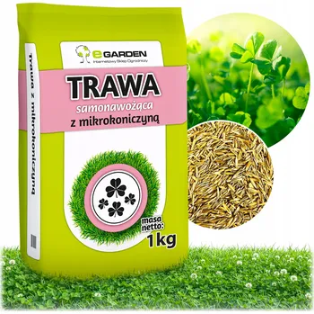 Travní směs Okrasná Tráva, směs trav, zahradní, sportovní Egarden 40 m2 1 kg