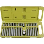 hroty IMBUS-TORX-XZN, sada 40ks, pro ráčny 3/8", 1/2", CrV