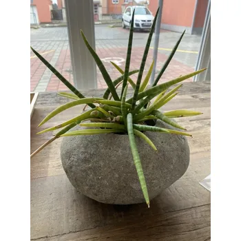 Váza 44663026 - Váza Kei L