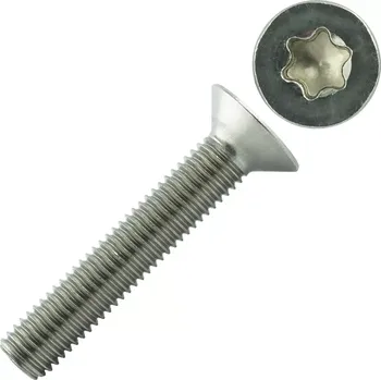 Šroub Šroub Imbus ISO 14581 nerez A4 M6x55 Torx
