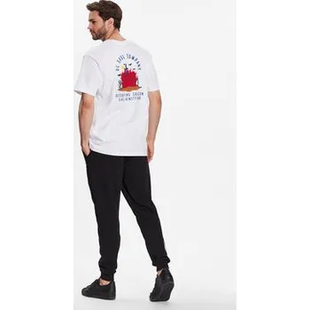 Pánské tričko DC Shoes T-Shirt Stuck On You ADYZT05245 Bílá Relaxed Fit M