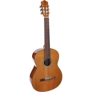 Klasická kytara Salvador Cortez Student CC-10, Klasická kytara